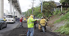 Cierre de la Va Transstmica por montaje de vigas debajo del viaducto de Lnea 1 