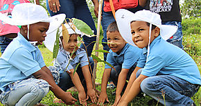  El mundo tiene capacidad para plantar rboles en mil millones de hectreas