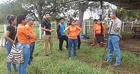 Estudiantes de ingeniera agroforestal de la extensin de bocas del toro visitan los proyectos pecuarios en la FCA