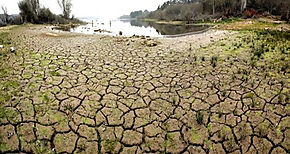 Sequa provoca millonarias prdidas en agricultura panamea