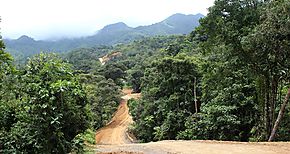 Camino La Mesa  El Harino sigue avanzando entre las provincias de Panam Oeste y Cocl