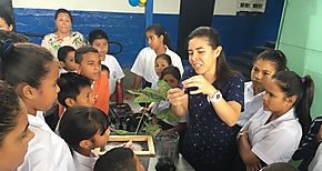 Escuela Federico A Velsquez sede del Green Apple Day