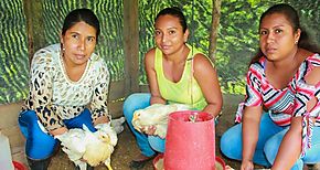 Mujeres Rurales se sumarn al programa Mujer Agro emprendedora 