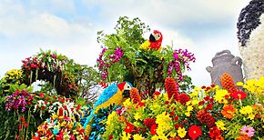 Parada de las Flores de Tierras Altas deja 20 millones de dlares