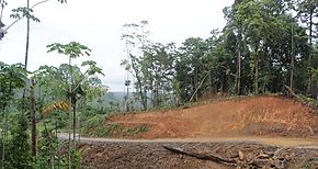 Ministro Arosemena recorre proyecto CaazasCoclesito en la Comarca Ngbe Bugl