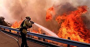 Los catastrficos incendios de Australia calentaron la atmsfera terrestre en varios grados