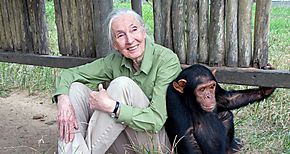 Jane Goodall Estamos viviendo la sexta extincin masiva de especies causada por nosotros