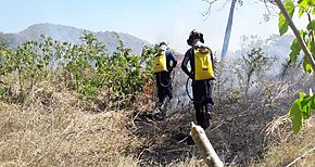 Capacitan a bomberos forestales de Panam Oeste