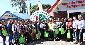 Sucursal del Banco de Desarrollo Agropecuario en Boquete suma a ms mujeres agro emprendedoras 