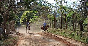 Varios caminos de produccin se mejoran en tierras altas de Las Minas