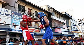 La Plaza 5 de Mayo se contagi del boxeo aficionado con Semilleros de Campeones