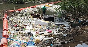 Marea Verde desvi varias toneladas de basura que iban directo a la playa de CDE