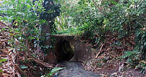 Limpieza integral de un tramo de la quebrada El Limn en Miraflores