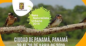 Biodiversidad de ciudad capital participa en concurso internacional 