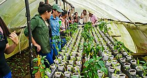 Estudiantes de la UTP visitan proyecto de Redes Territoriales en Cocl