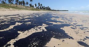 Vertido de petrleo ya afecta a ms de 650 playas de la costa de Brasil