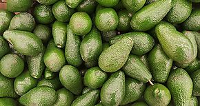 Impulsan exportacin de aguacates en Tierras Altas