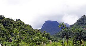 Se estudian de limitaciones en la Comarca Ngbe Bugl