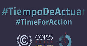 COP 25 fracasa en aprobar un mercado de carbono 