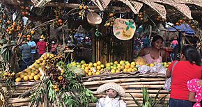 Finalizo con xito la Feria de la Naranja Churuquita Grande