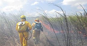 Inicia organizacin del Plan de Prevencin de incendios en Chiriqu