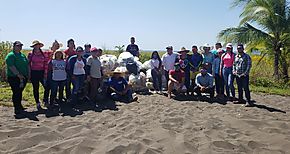 Retiran gran cantidad de desechos slidos en la primera jornada de limpieza de playa