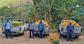 El agro da un paso al frente