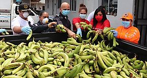 MidesHerrera entrega alimentos y frutas a la poblacin