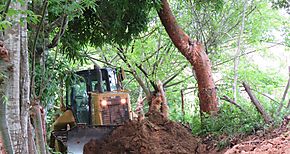 Habilitan por primera vez Camino de Produccin en Los Pintos de Las Minas en la provincia de Herrera