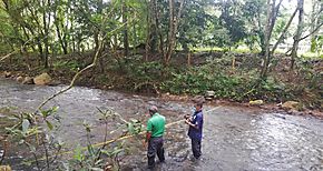 Revisan estado del agua en afluentes en Panam Oeste 