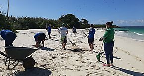 Jornada de limpieza en el Refugio de Vida Silvestre Isla Iguana 