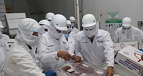 Desde Los Santos exportan dos contenedores de carne bovina hacia la Repblica Popular China