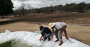 Productores de Herrera realizan siembra masiva de camarn