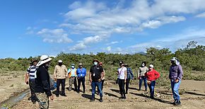 MOP avanza con el Plan de Reforestacin 