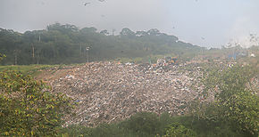 Defensora del Pueblo abre queja por afectacin ambiental en Cerro Patacn