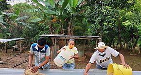 Esfuerzos por erradicar la pobreza pone en marcha la agricultura familiar en Herrera