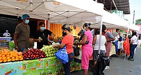 Ferias Alimentos RIMMU en los corregimientos del Distrito de Panam