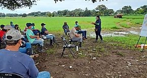 Agricultores se capacitan en manejo de carbono