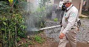 Control de vectores pide eliminar potenciales criaderos de Aedes Aegypti en Chiriqui