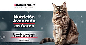 Innovacin en nutricin felina veterinarios pueden participar gratuitamente del Simposio Internacional de Purina 2025