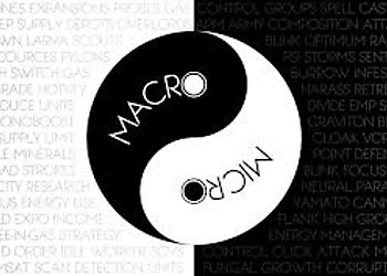 MICRO O MACRO? 