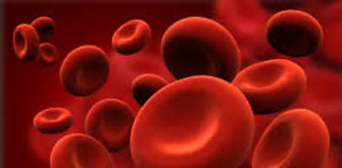 Da Mundial de la Hemofilia