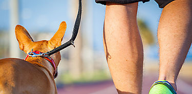 Ejercicios alivian sntomas de trastorno mental