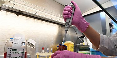 Cualquier edicin gentica que hagamos en un embrin pasar de generacin en generacin