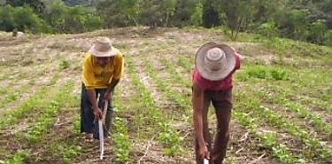 Da Mundial de la Agricultura