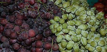 Recomiendan el consumo de uvas contra el colesterol