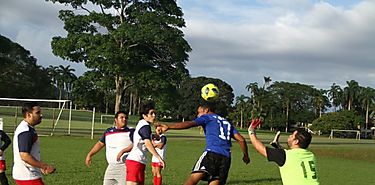 Hombres en todo el mundo que sufren disfuncin erctil