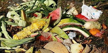 Más de 30 por ciento de alimentos se desperdician en Latinoamérica