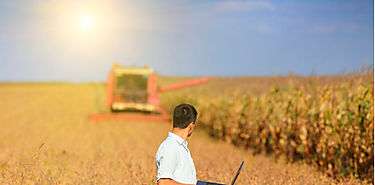 FAO destaca el potencial de la IA para transformar los sistemas agroalimentarios