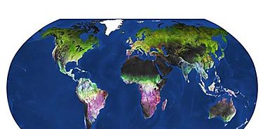 Mapa sobre el cambio de vegetacin estacional global